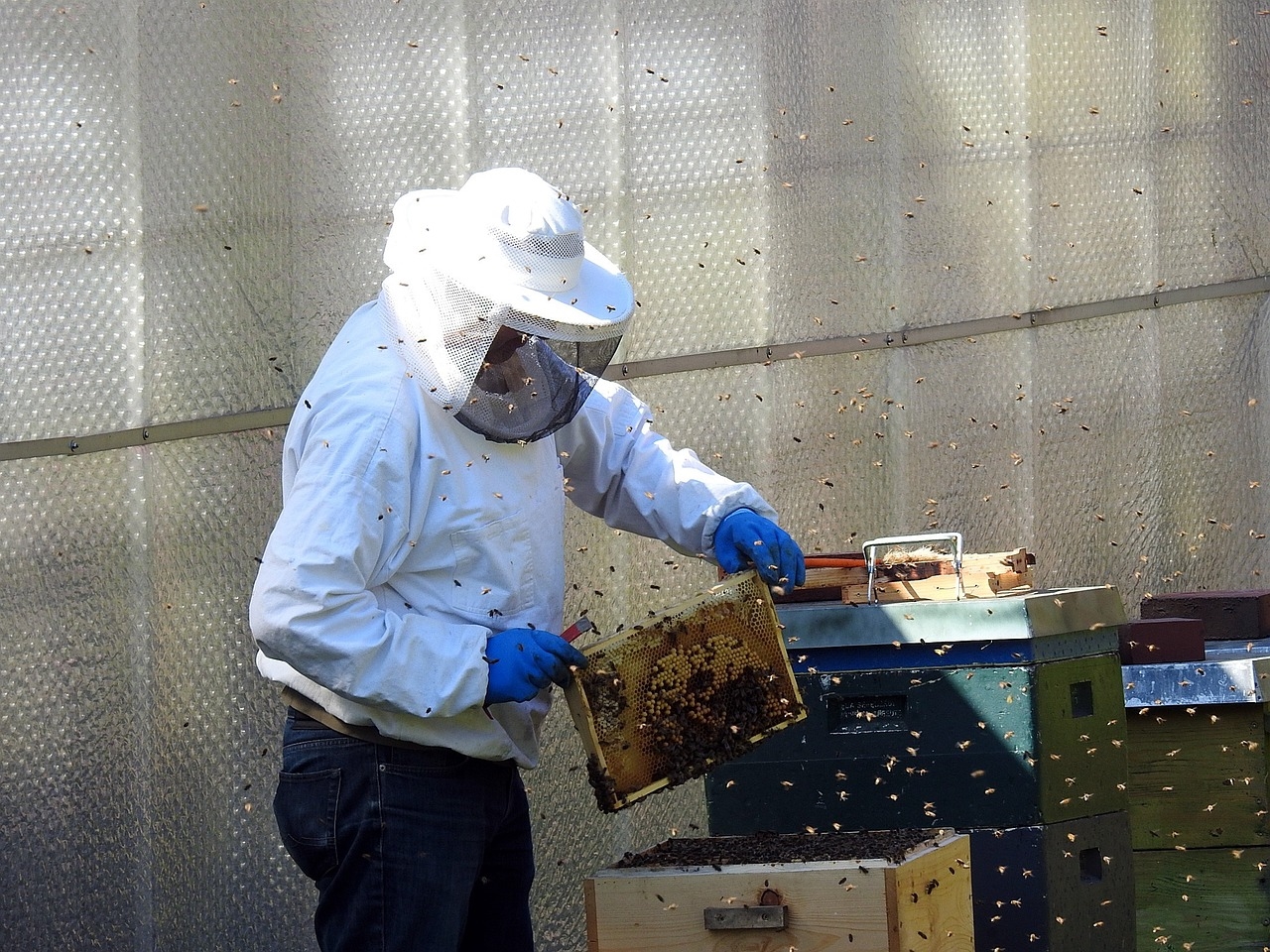 odkłady pszczele jak zrobić